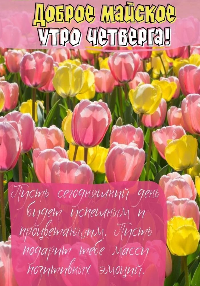 Картинка с добрым Майским утром Четверга!