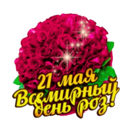 Стикер с надписью "21 Мая Всемирный день роз" на прозрачном фоне