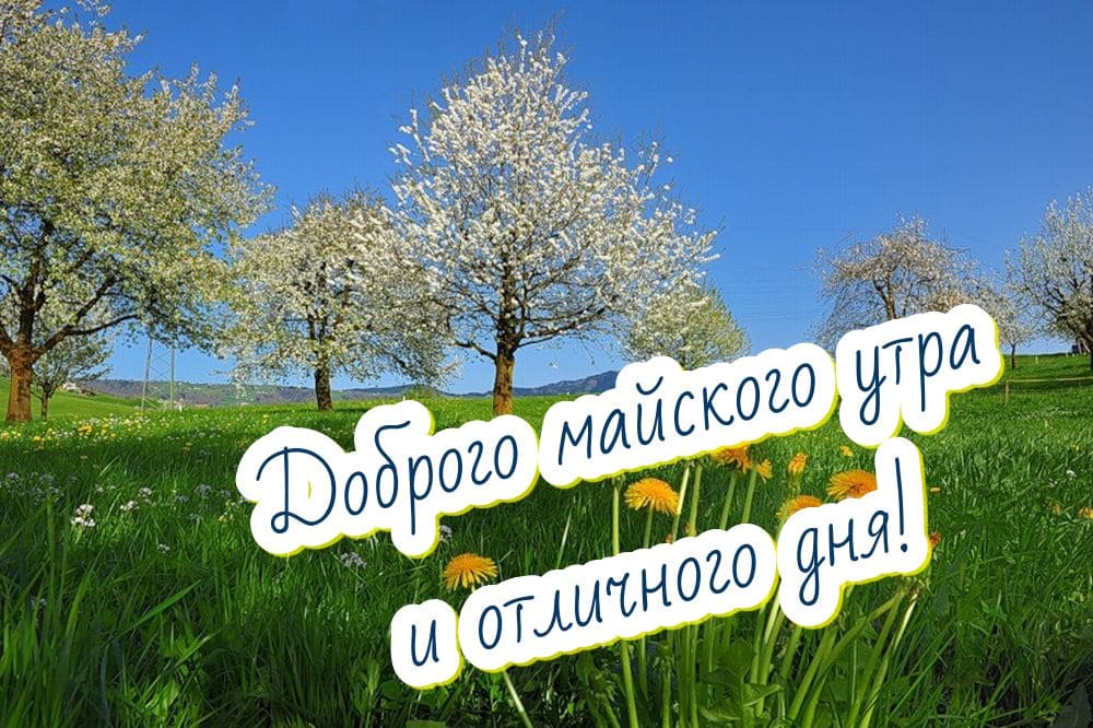 Картинка с пожеланием доброго Майского утра и отличного дня!