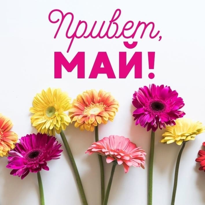 Креативная открытка с цветами и Майским приветом