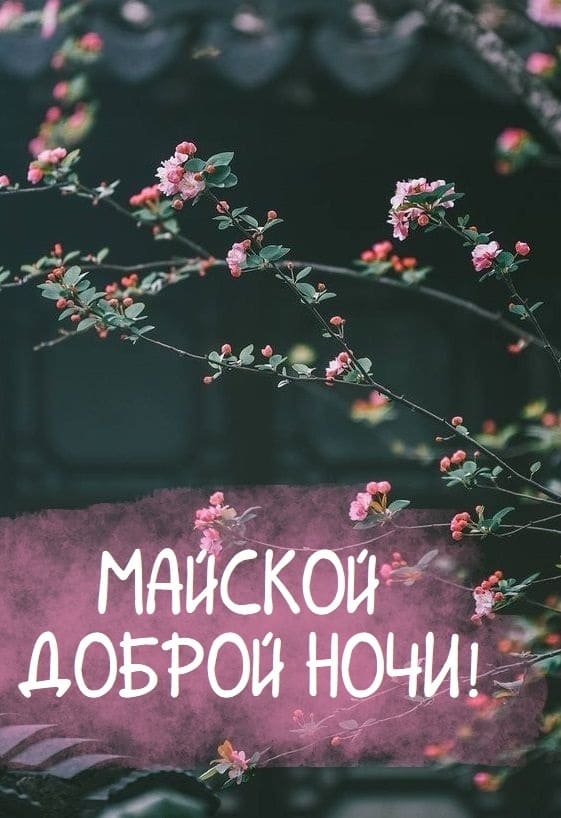 Красивая открытка доброй Майской ночи