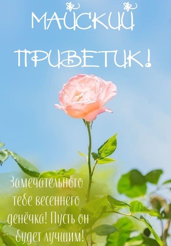 Майский привет! Замечательного тебе весеннего денёчка!