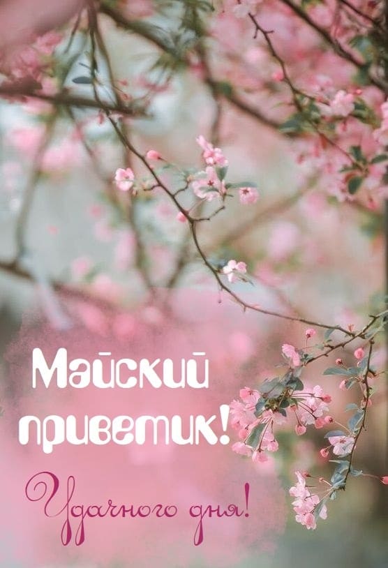Вертикальная картинка на телефон Майский привет! Удачного дня!