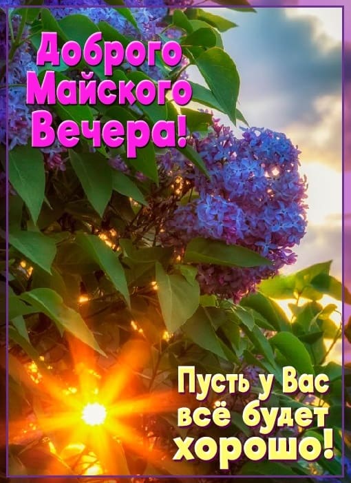 Доброго майского вечера! Пусть всё будет хорошо! - картинка