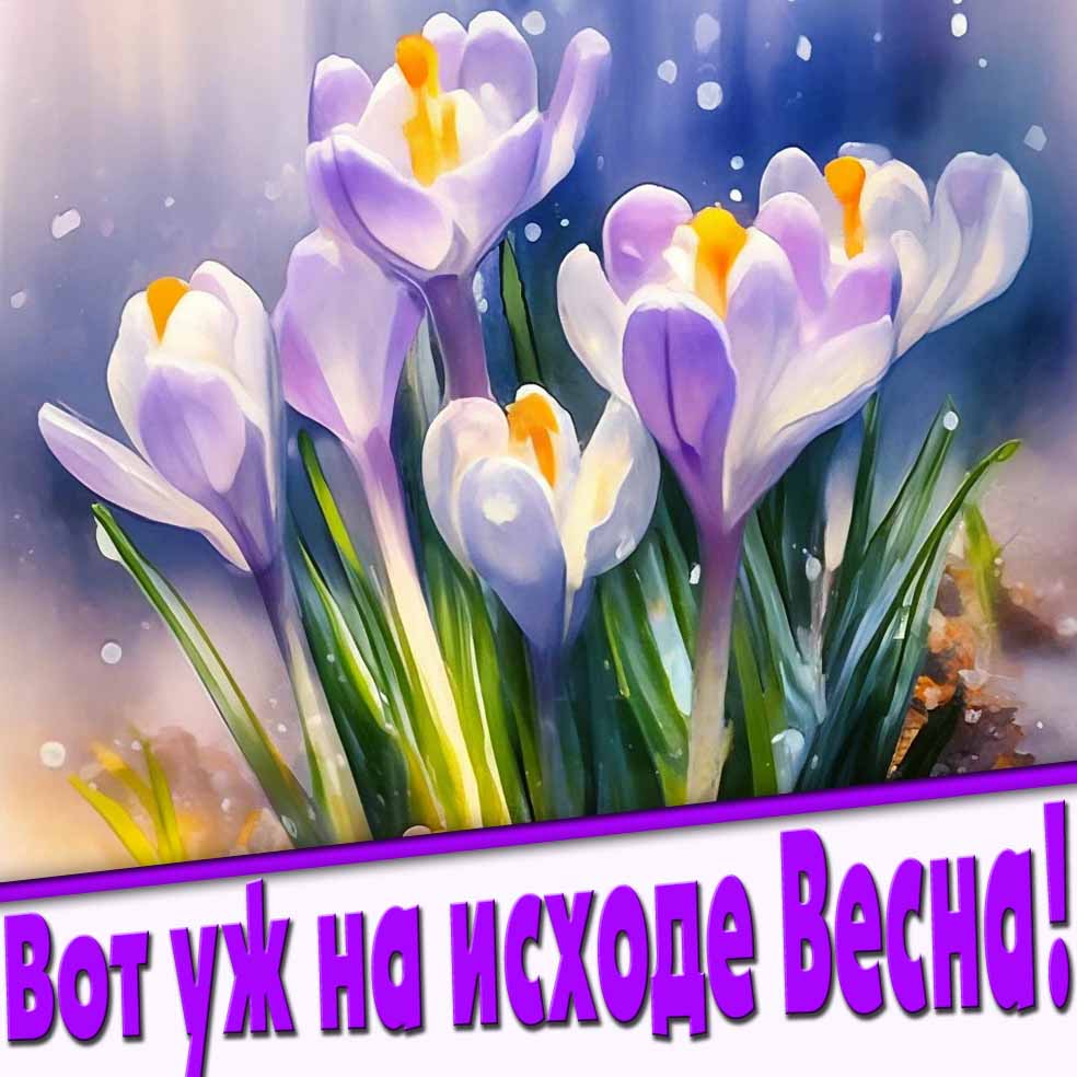 Картинка вот уж на исходе Весна!