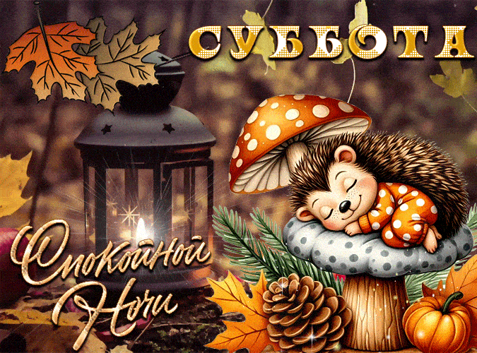 Осенняя гифка спокойной субботней ночи