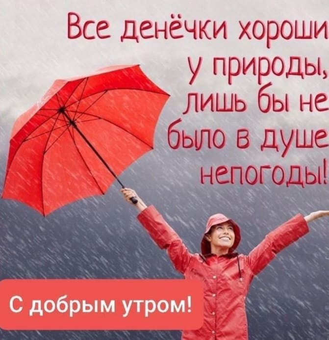 Позитивная открытка с добрым утром в непогоду!