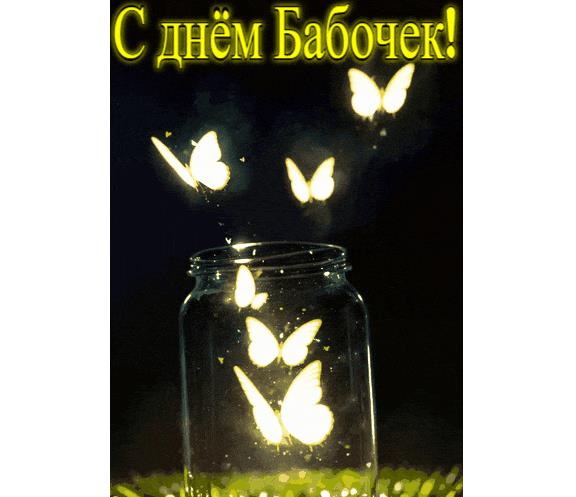 Гифка с днём бабочек