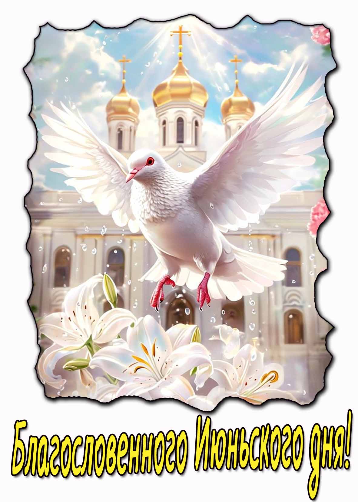 Благословенного июньского дня! - картинка с голубем