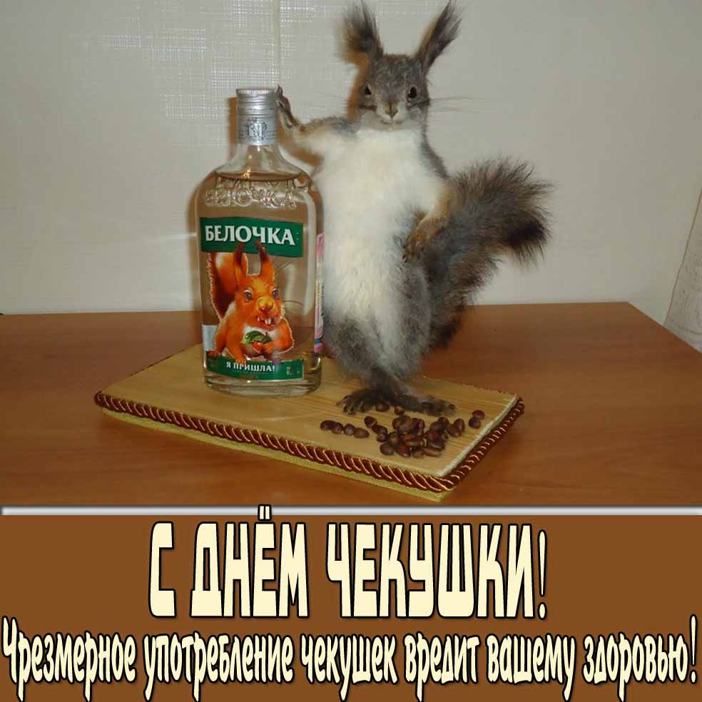 Смешная открытка на день чекушки с белочкой