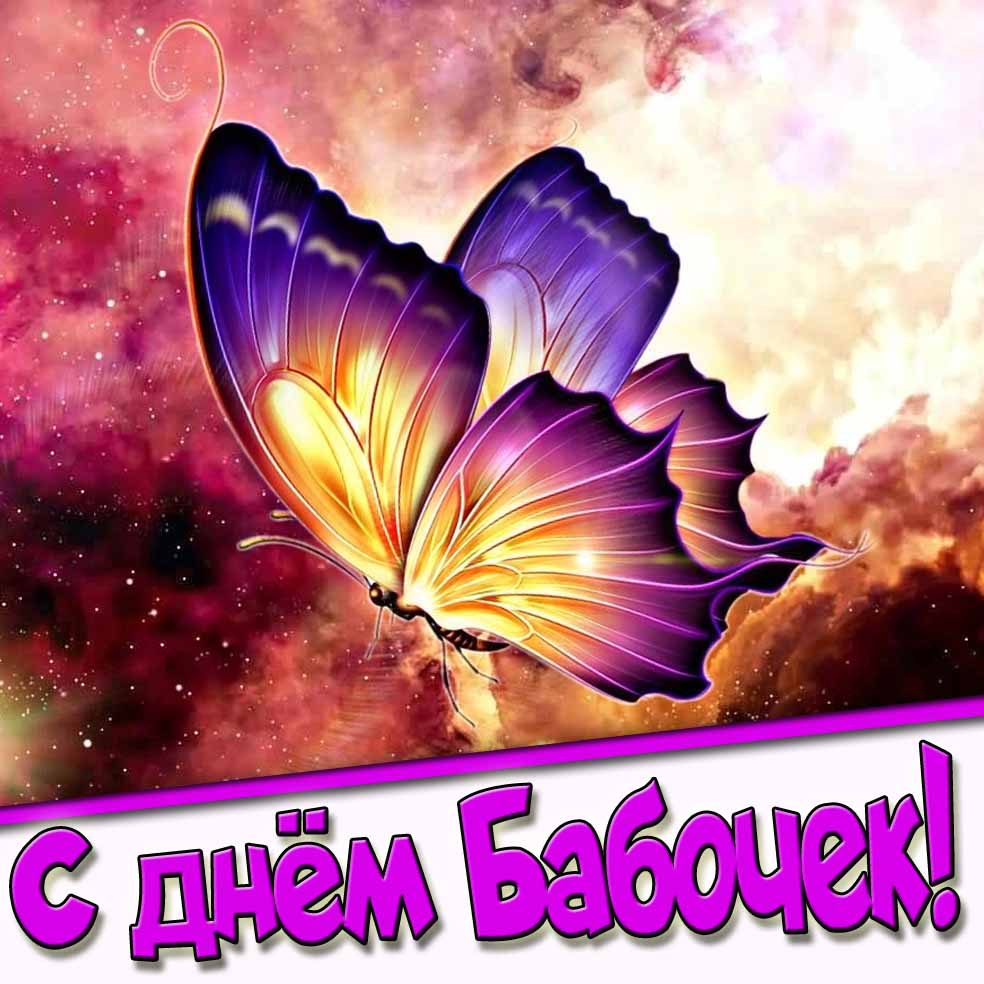 Красивая открытка с днём бабочек