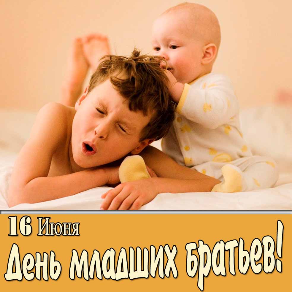Смешная картинка на праздник 16 Июня - день младших братьев
