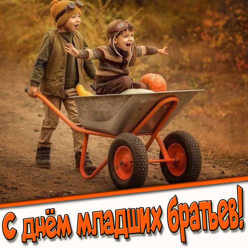 Смешная открытка на день младших братьев