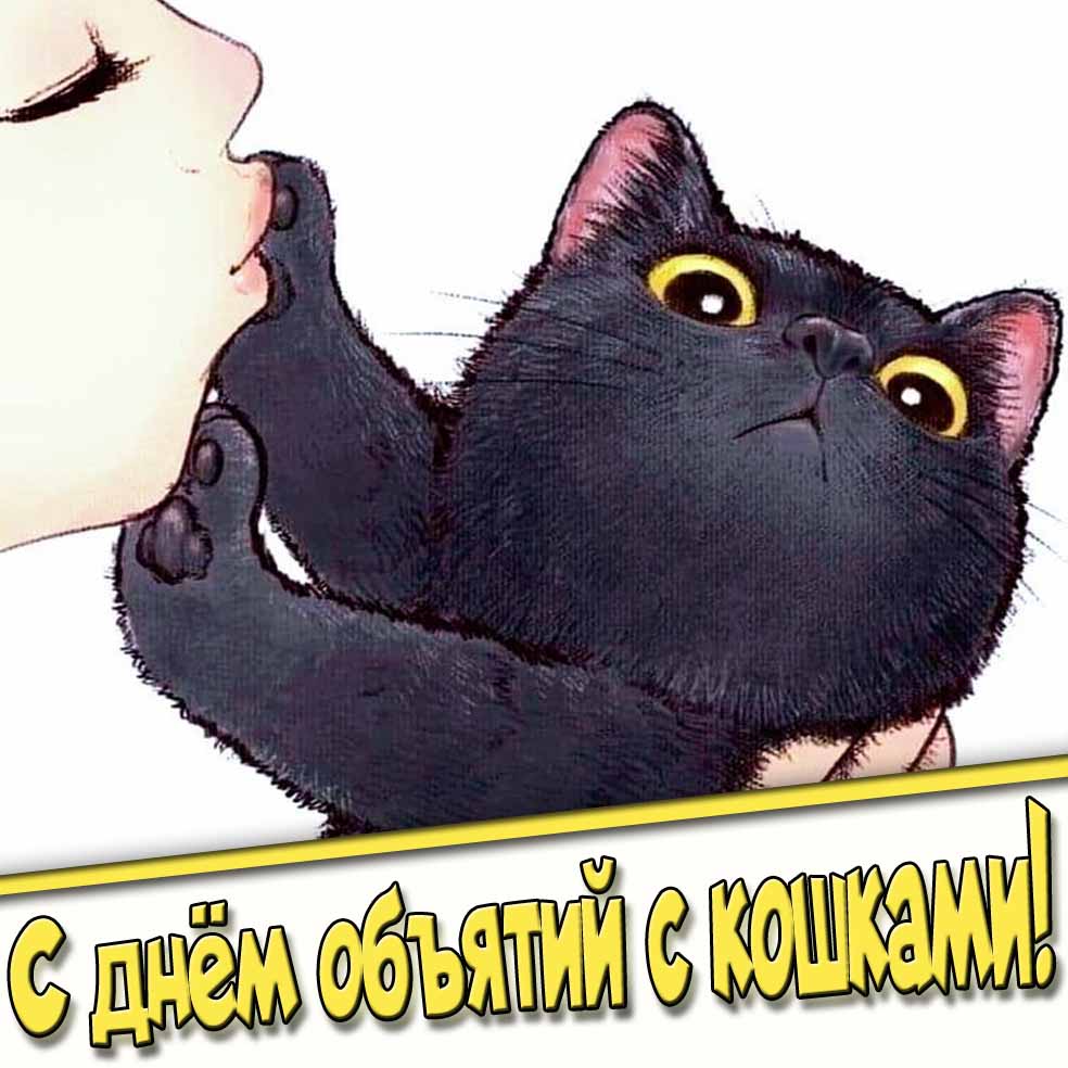 Смешная открытка с днём объятий с кошками