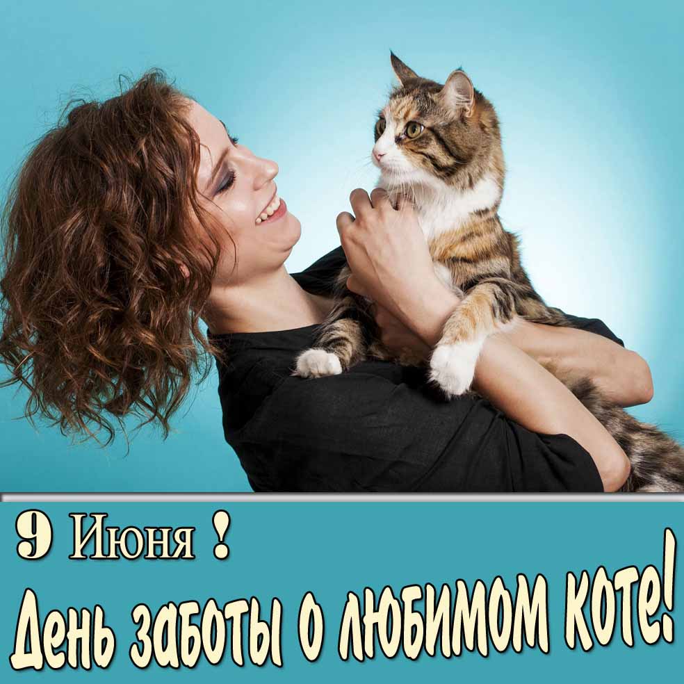 Картинка 9 июня день заботы о любимом коте