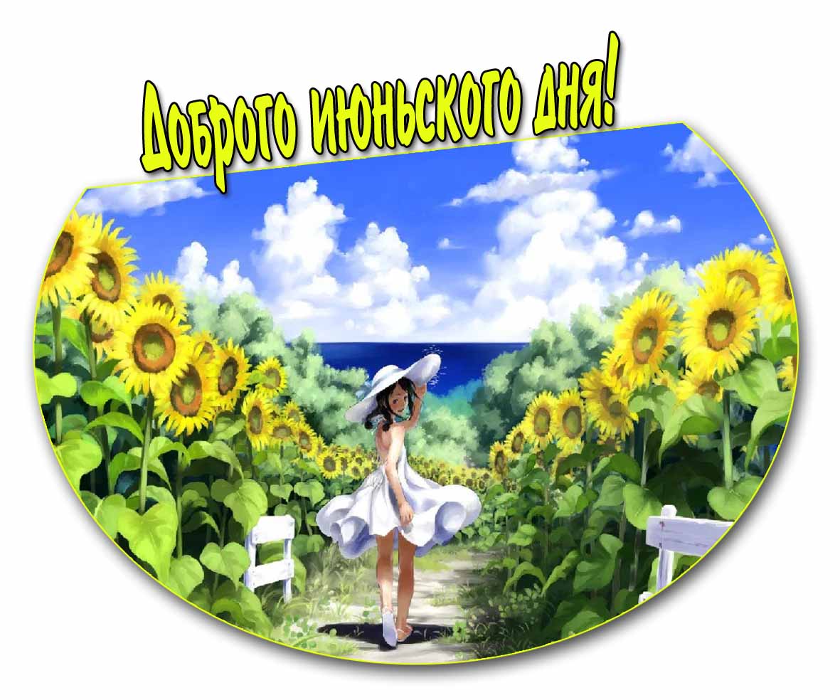 Доброго июньского дня! - открытка с подсолнухами