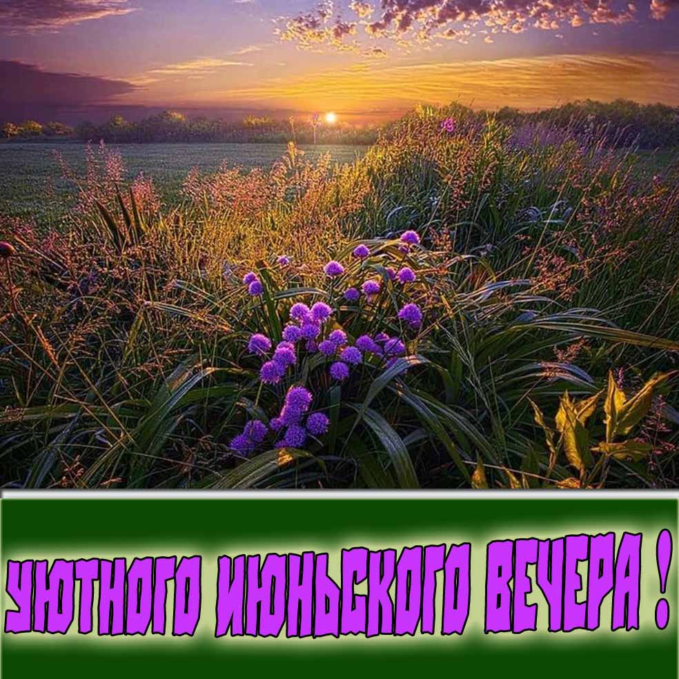 Уютного Июньского вечера! - картинка с природой