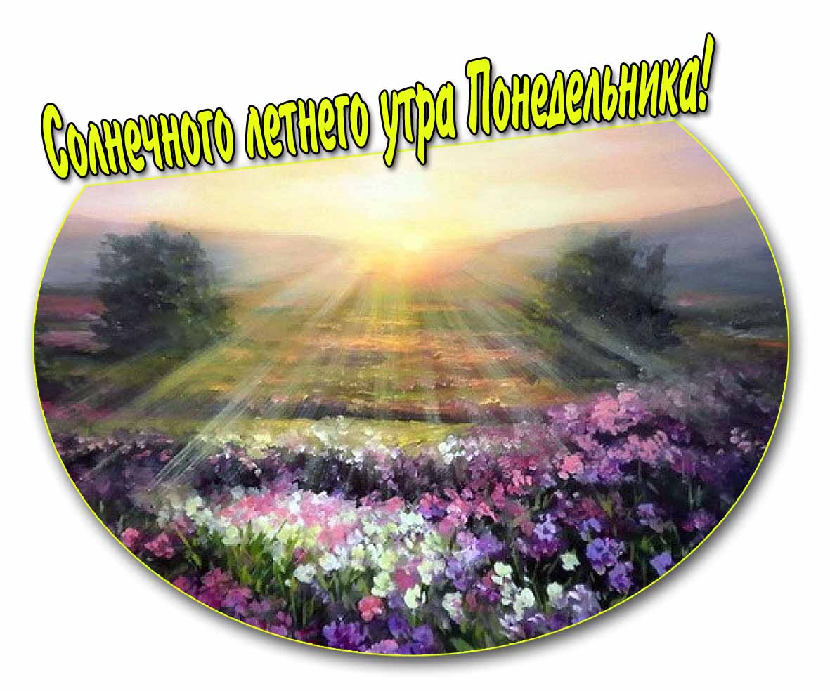 Картинка солнечного летнего утра Понедельника