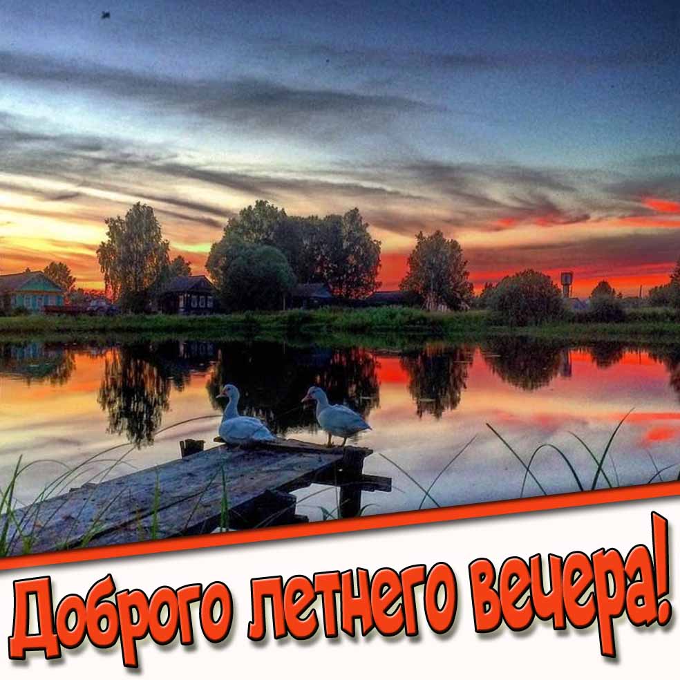 Доброго летнего вечера! - красивая открытка