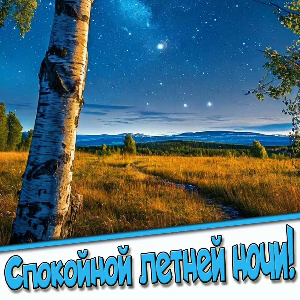 Спокойной летней ночи! - открытка с природой