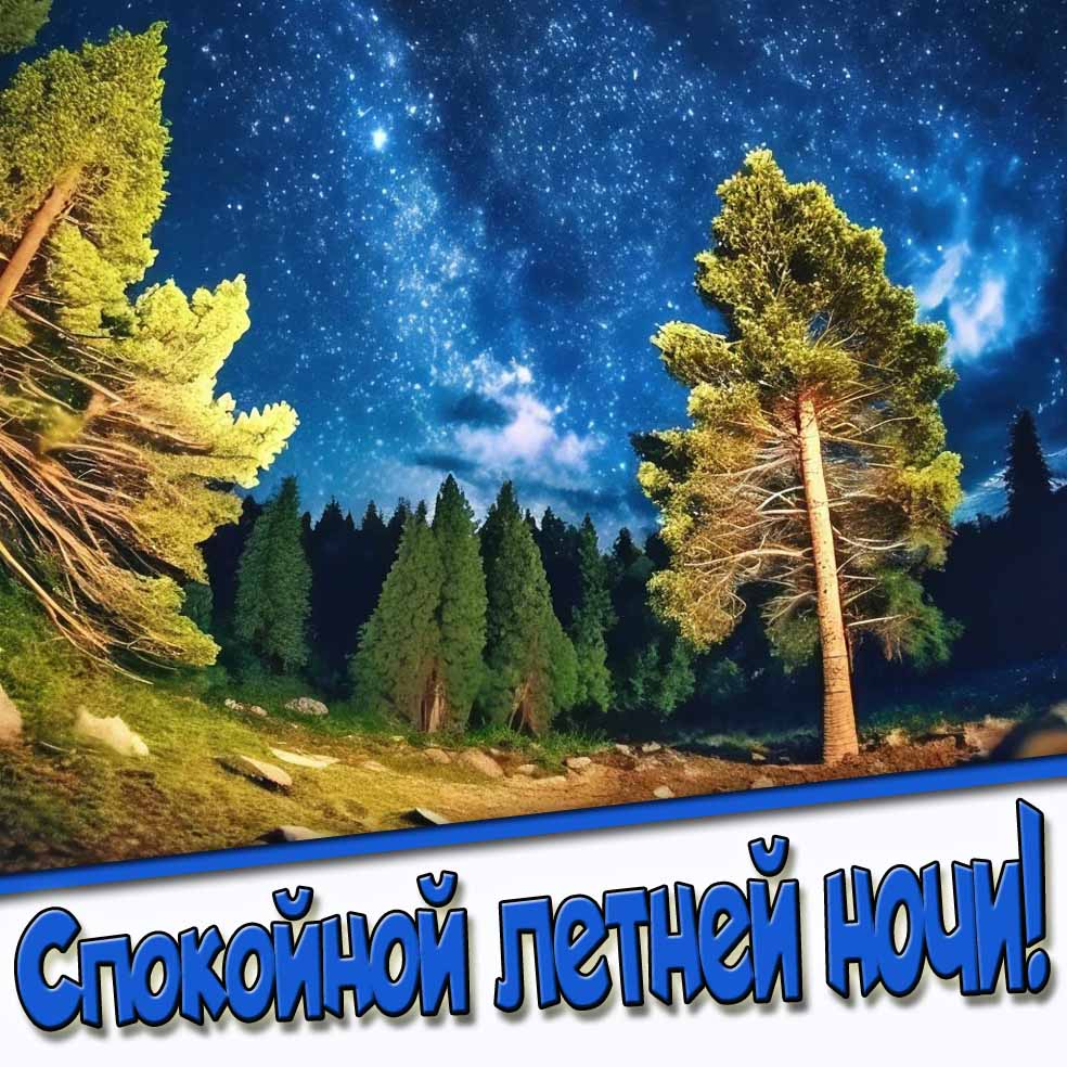 Спокойной летней ночи! - открытка с природой