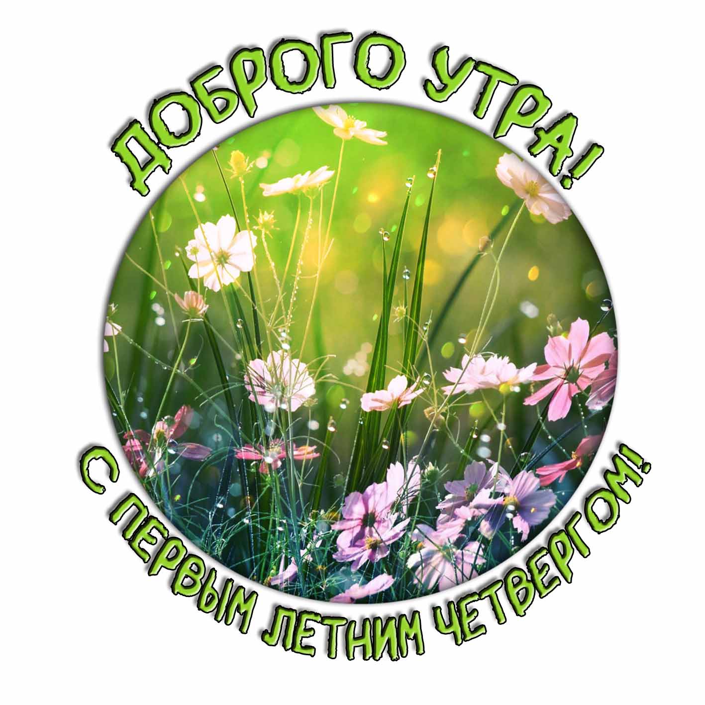 Картинка "Доброго утра! С первым летним четвергом!"