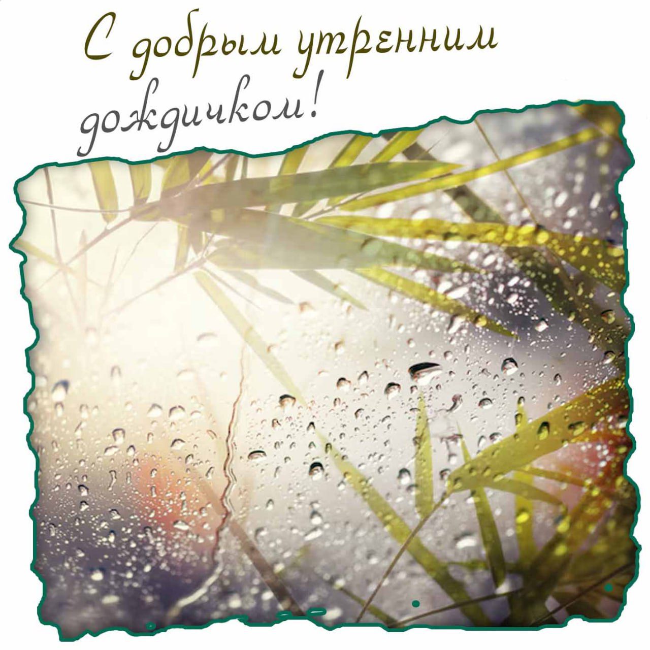 С добрым утренним дождиком! - креативная картинка