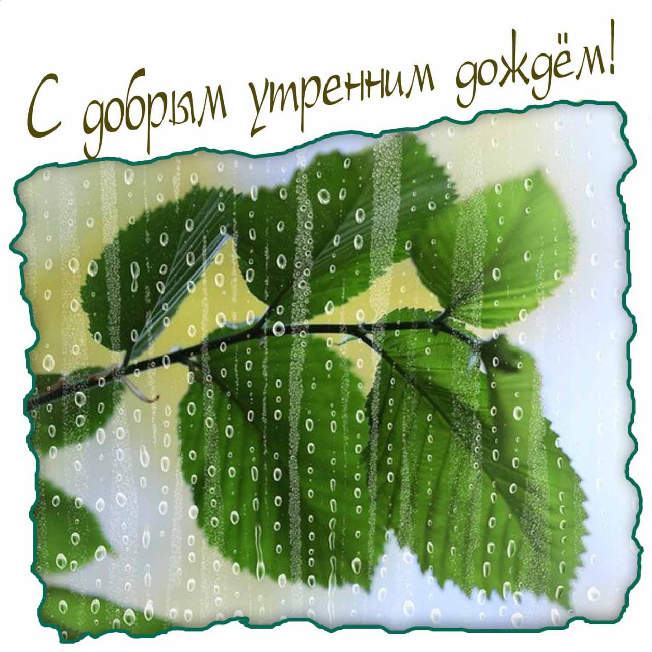 Открытка с добрым утренним дождём