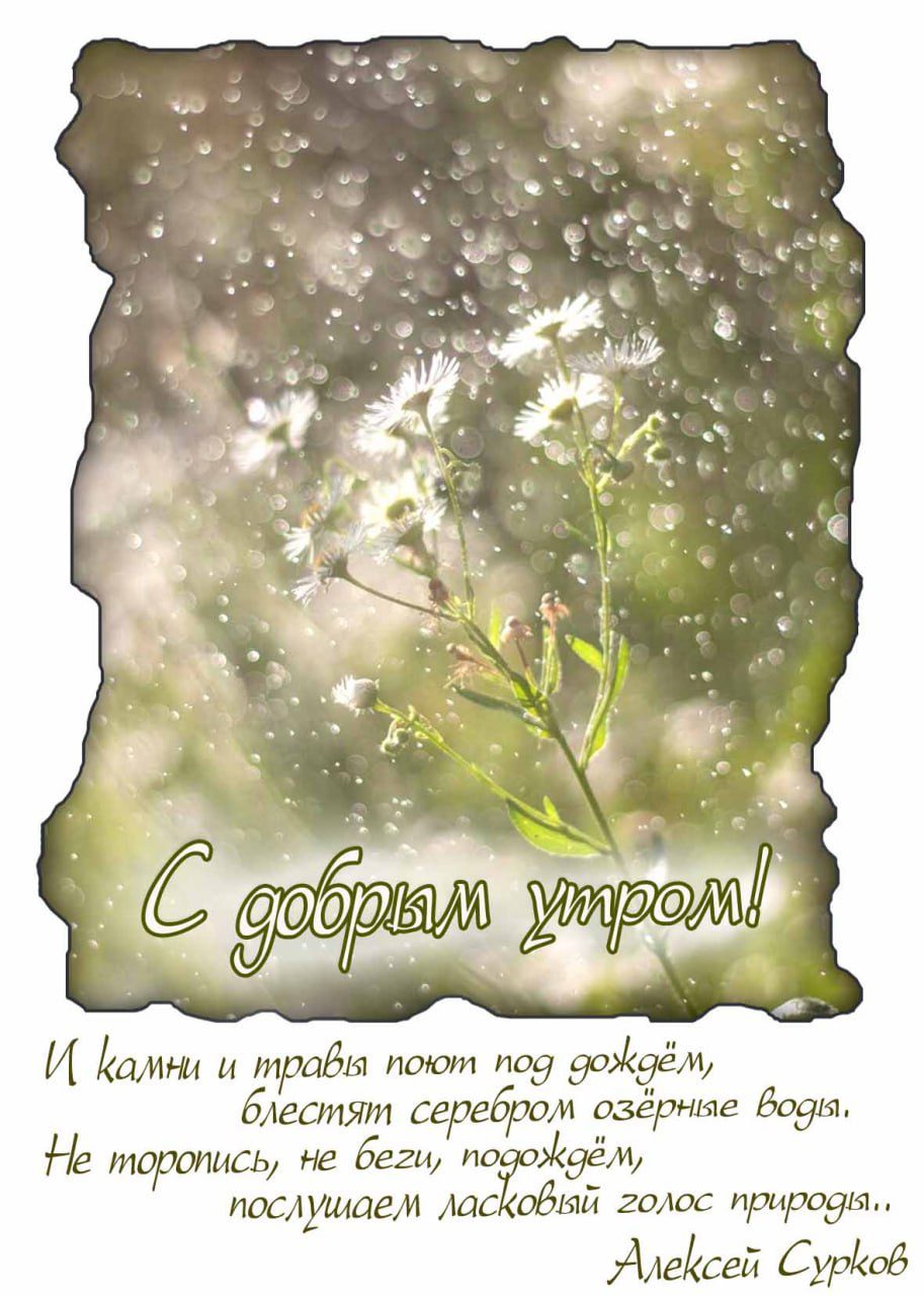Красивая картинка со стихом в доброе дождливое утро