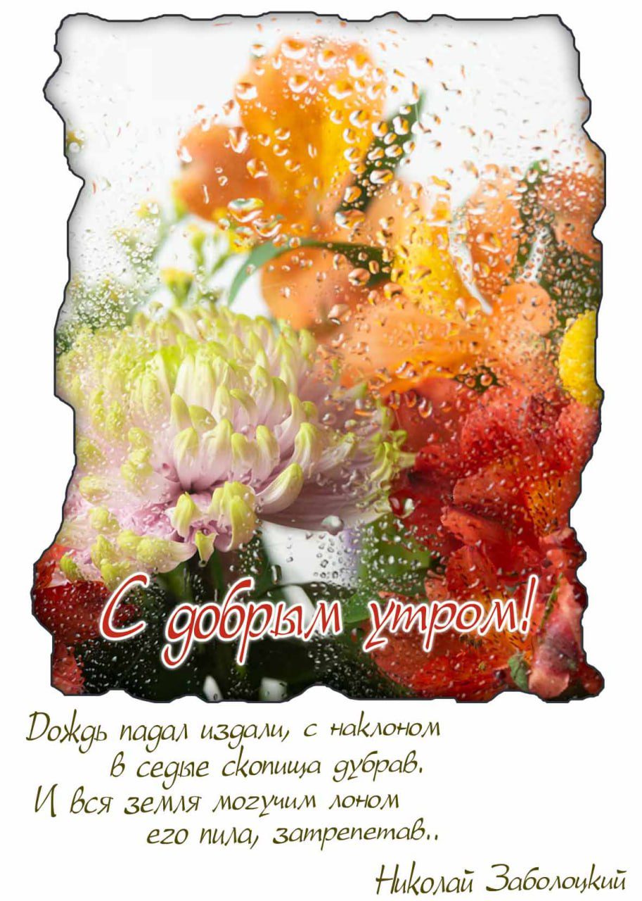 С добрым дождливым утром! - красивая открытка со стихом