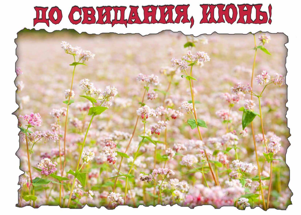 Картинка "До свидания, Июнь!"