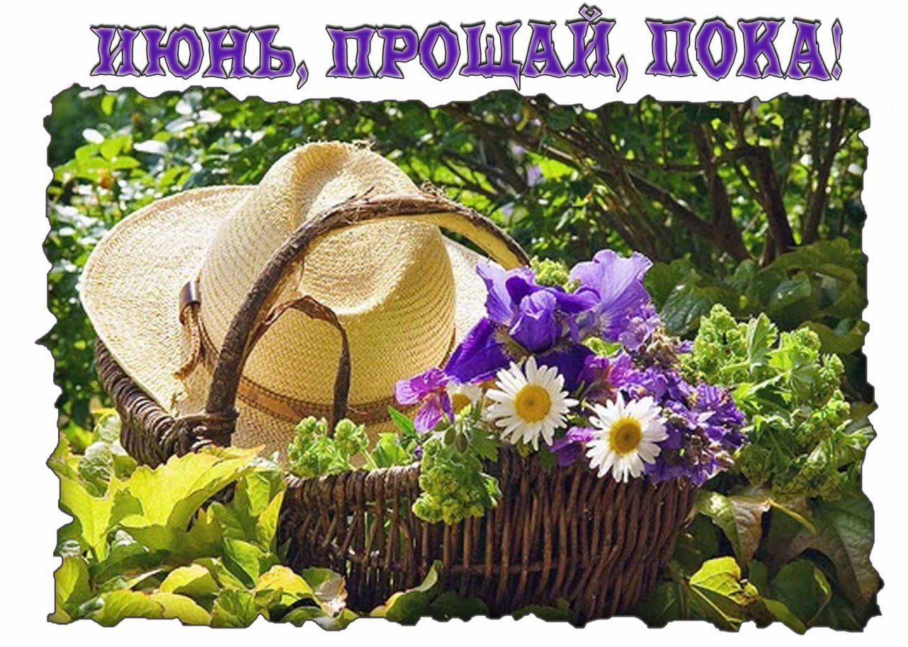 Открытка "Июнь, Прощай, Пока!"