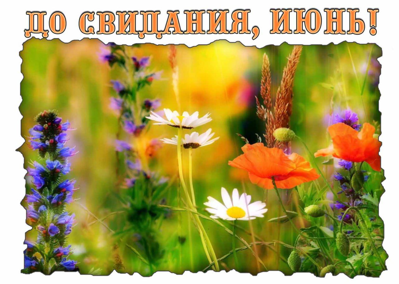 Открытка с надписью "До свидания, Июнь!"