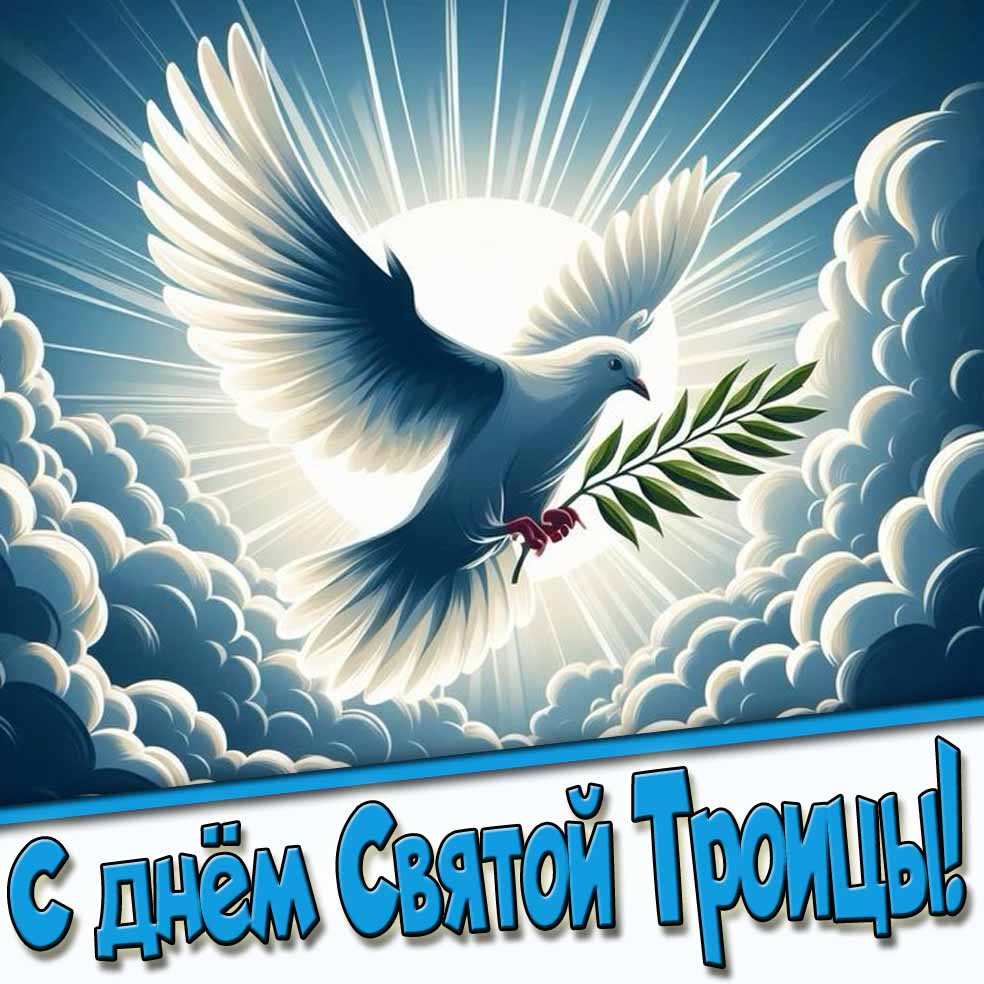 С днём святой Троицы! - красивая открытка с голубем
