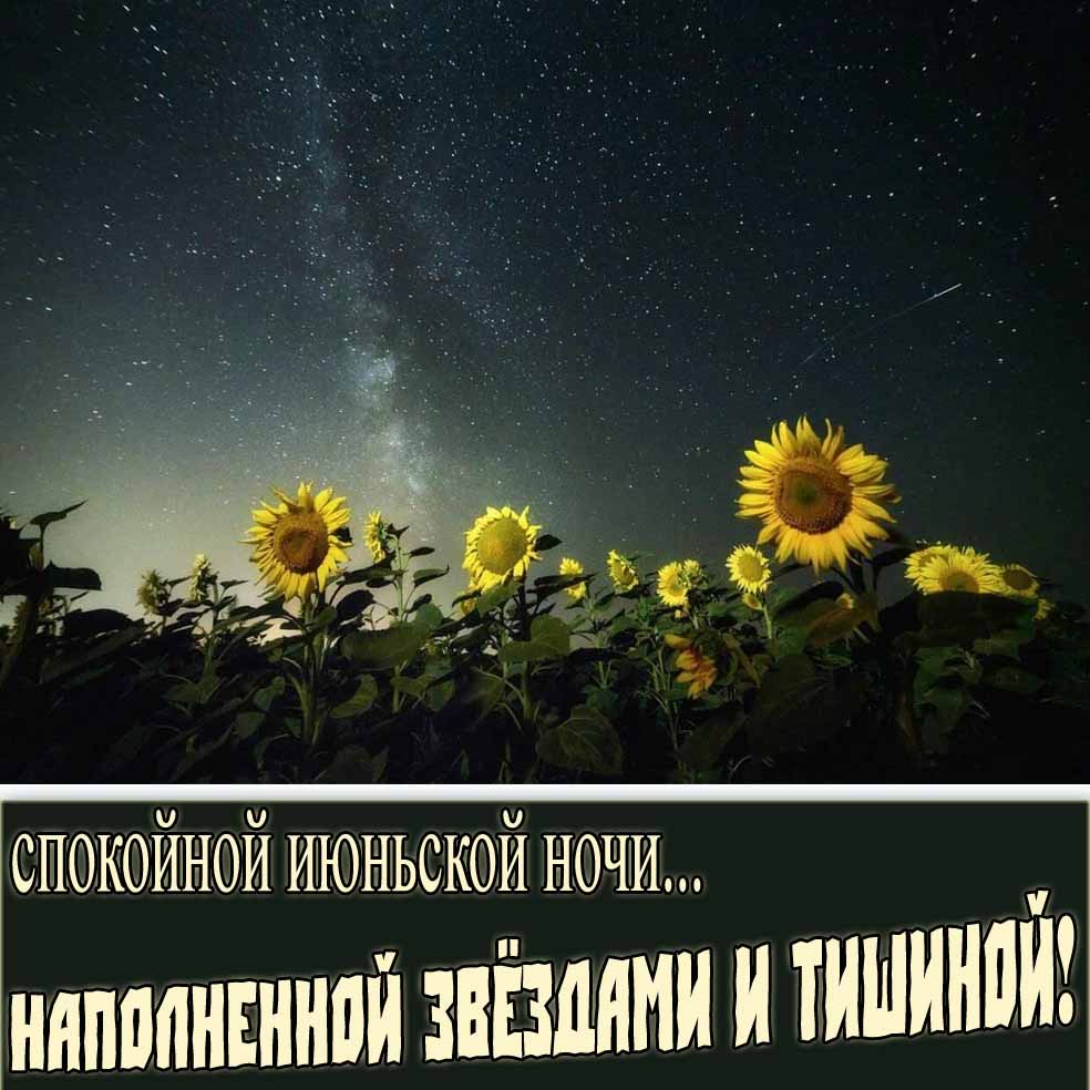 Открытка "Спокойной июньской ночи! Наполненной звёздами и тишиной!"