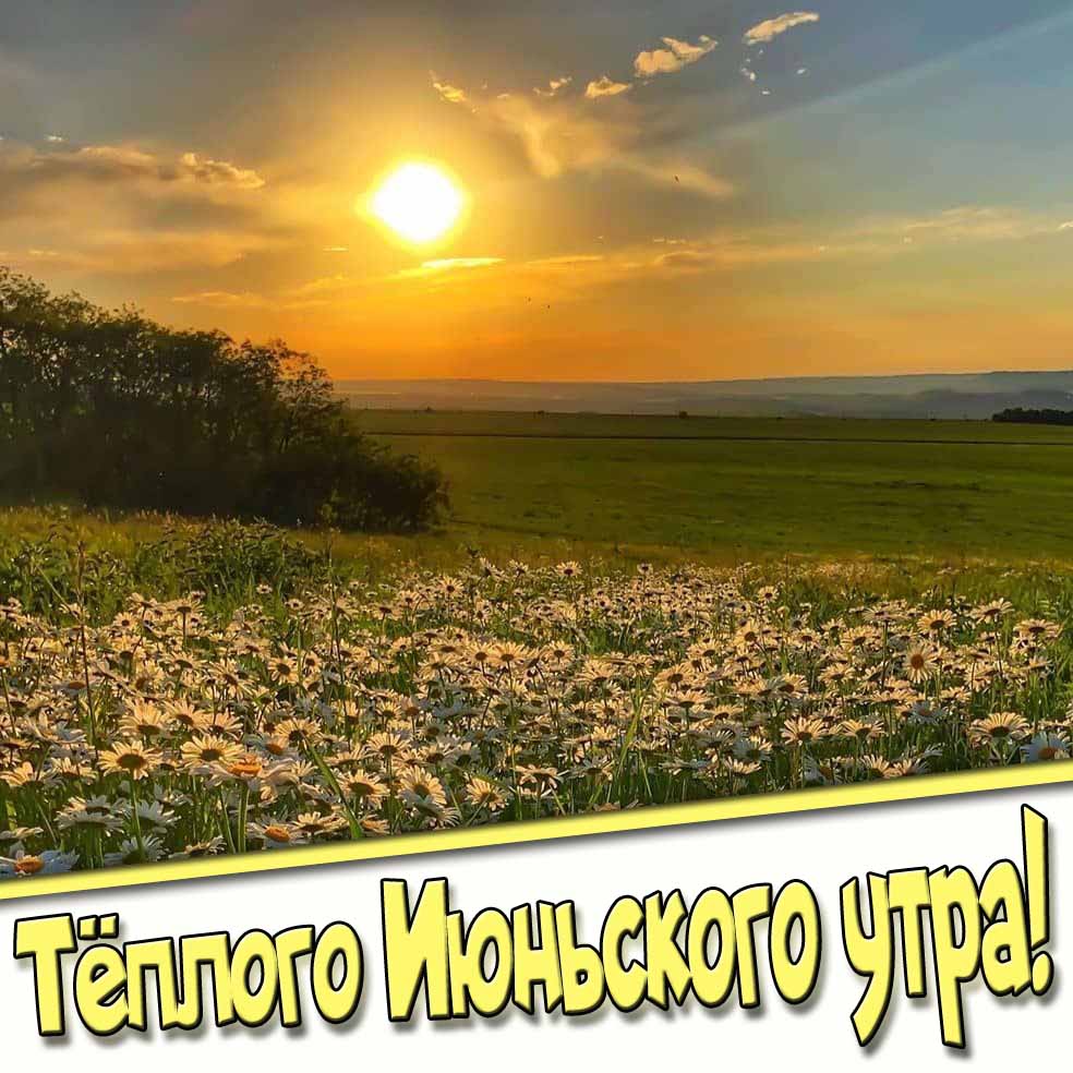 Тёплого Июньского утра! - картинка