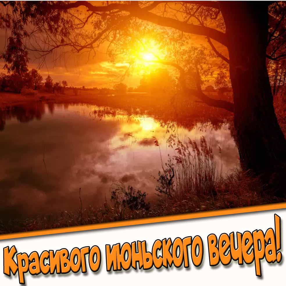 Красивого июньского вечера! - открытка с природой