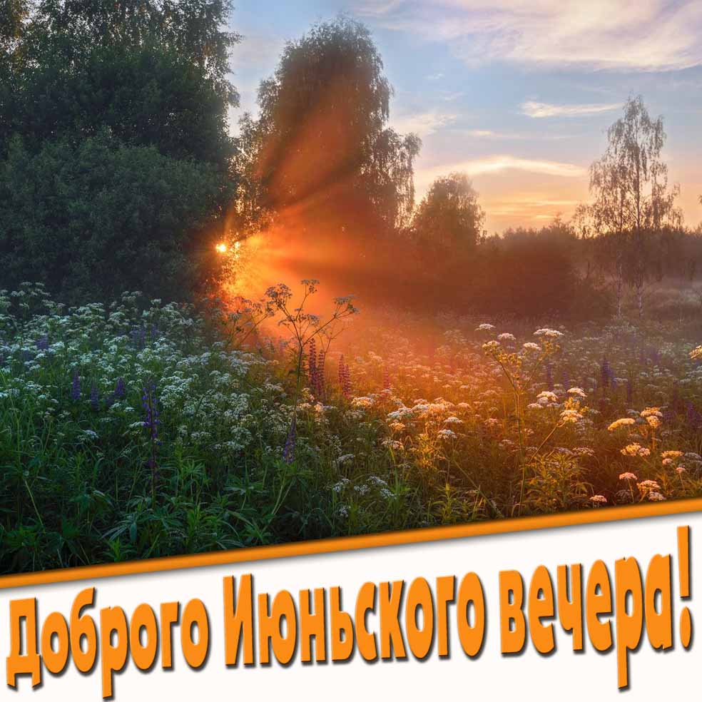 Доброго Июньского вечера! - открытка с природой