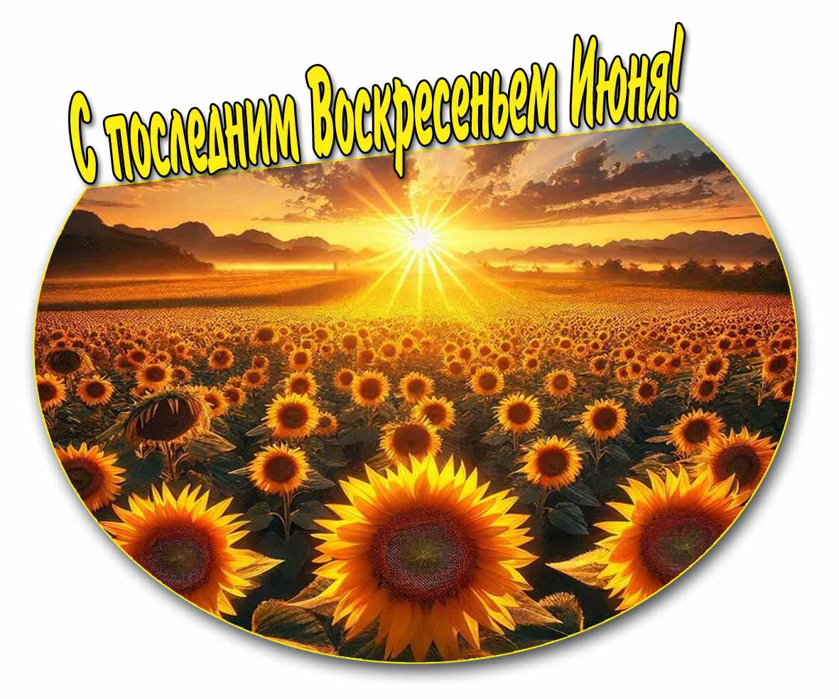 С последним воскресеньем Июня! - открытка с подсолнухами