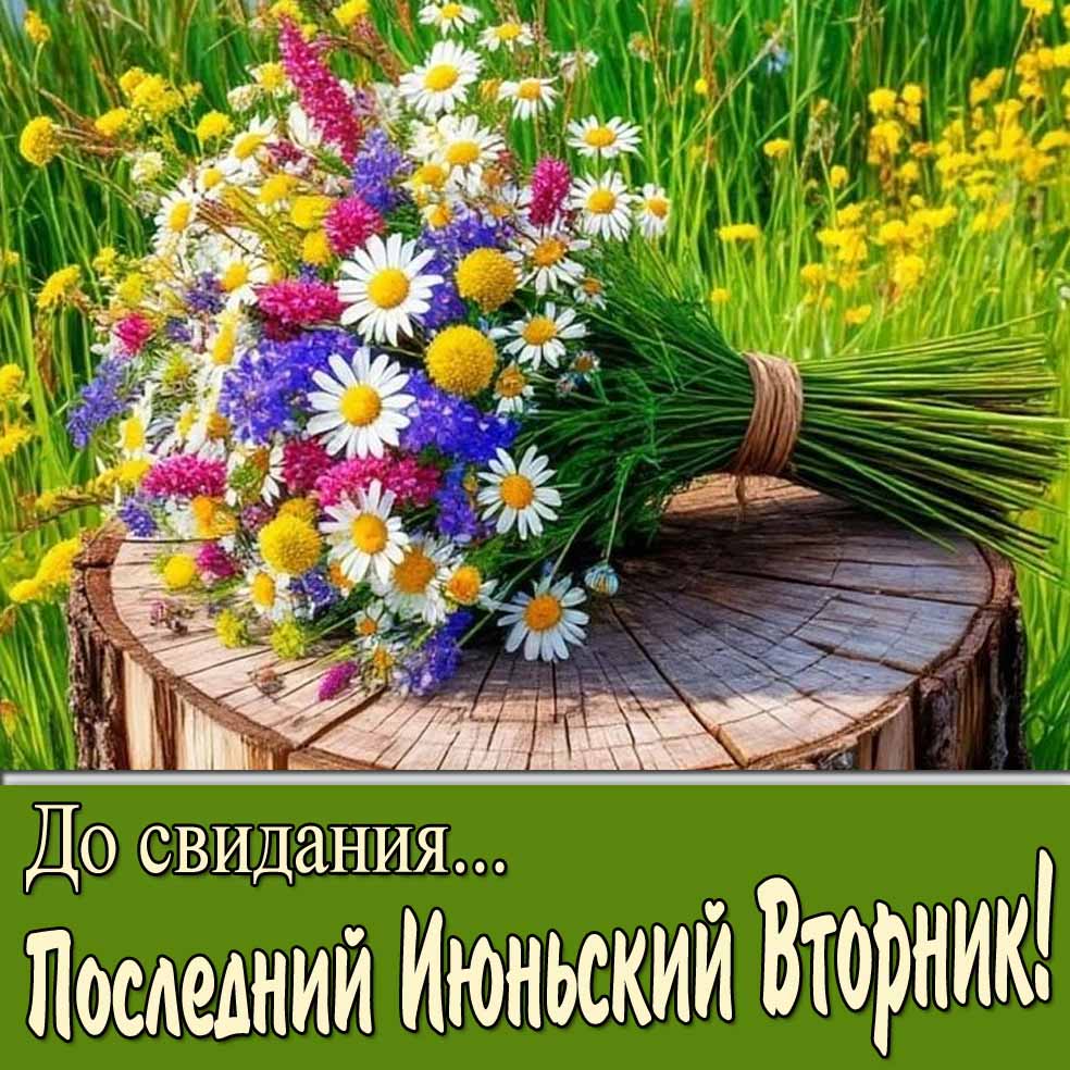 Картинка "До свидания... Последний Июньский Вторник!"
