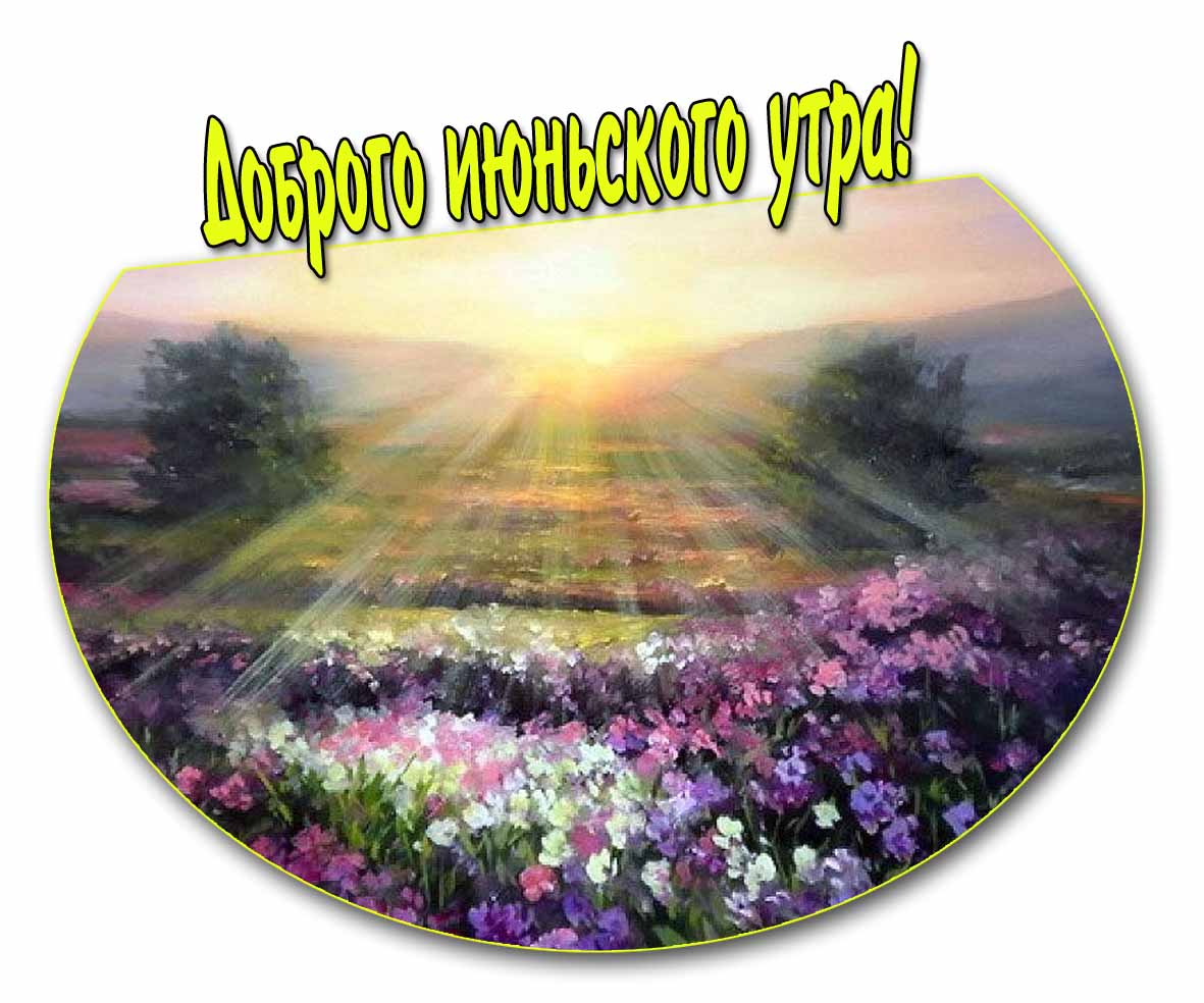 Солнечная картина - доброго Июньского утра!