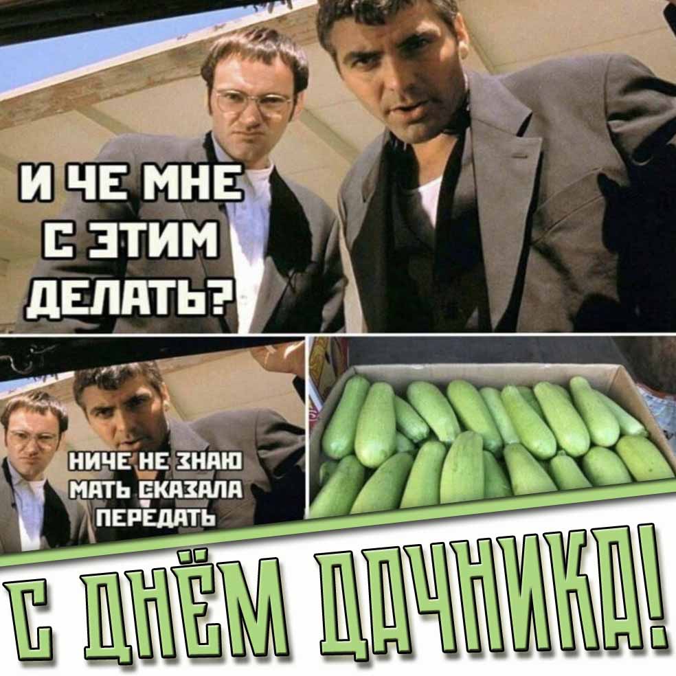 Картинка с мемом про кабачки на день дачника