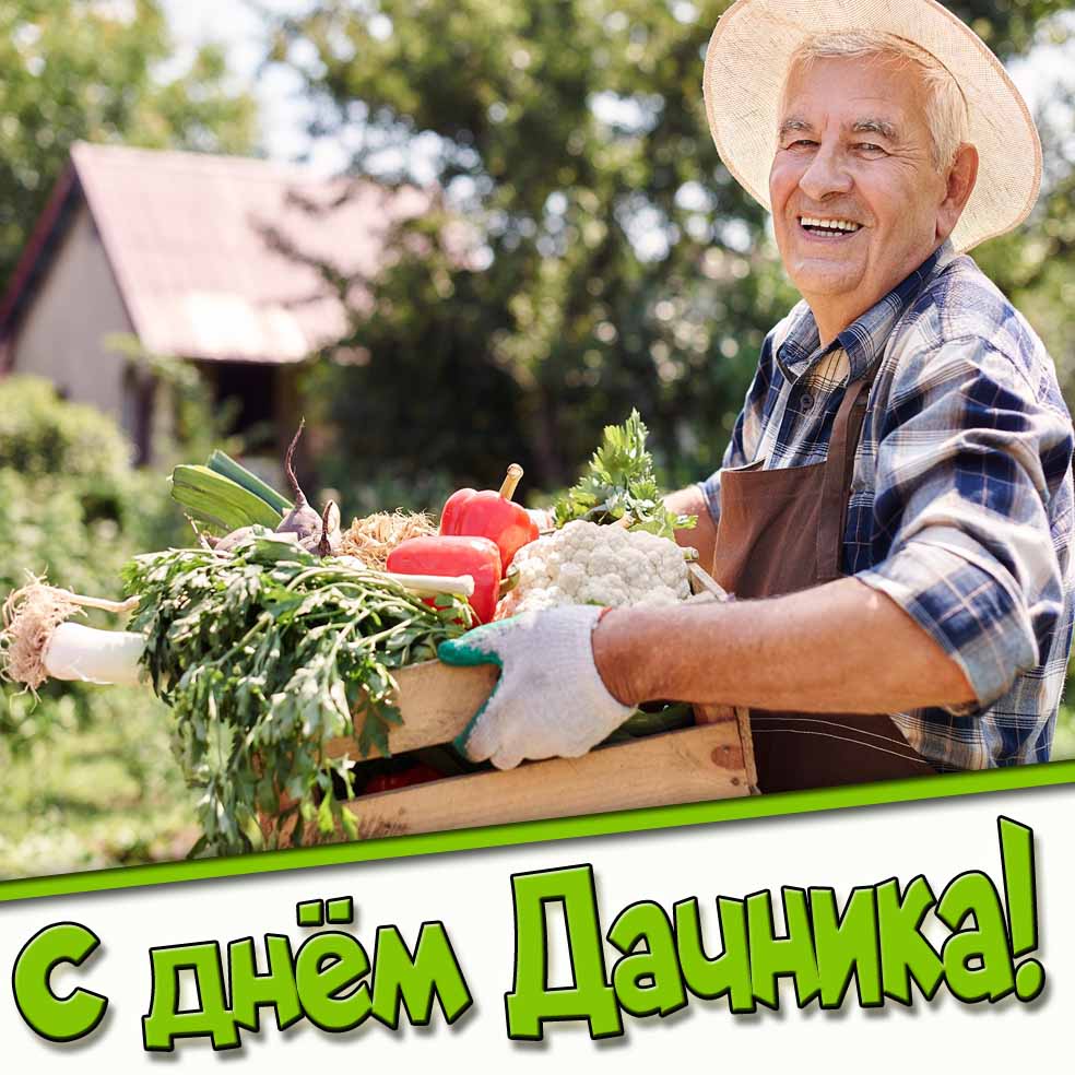 Позитивная открытка с днём дачника для мужчины
