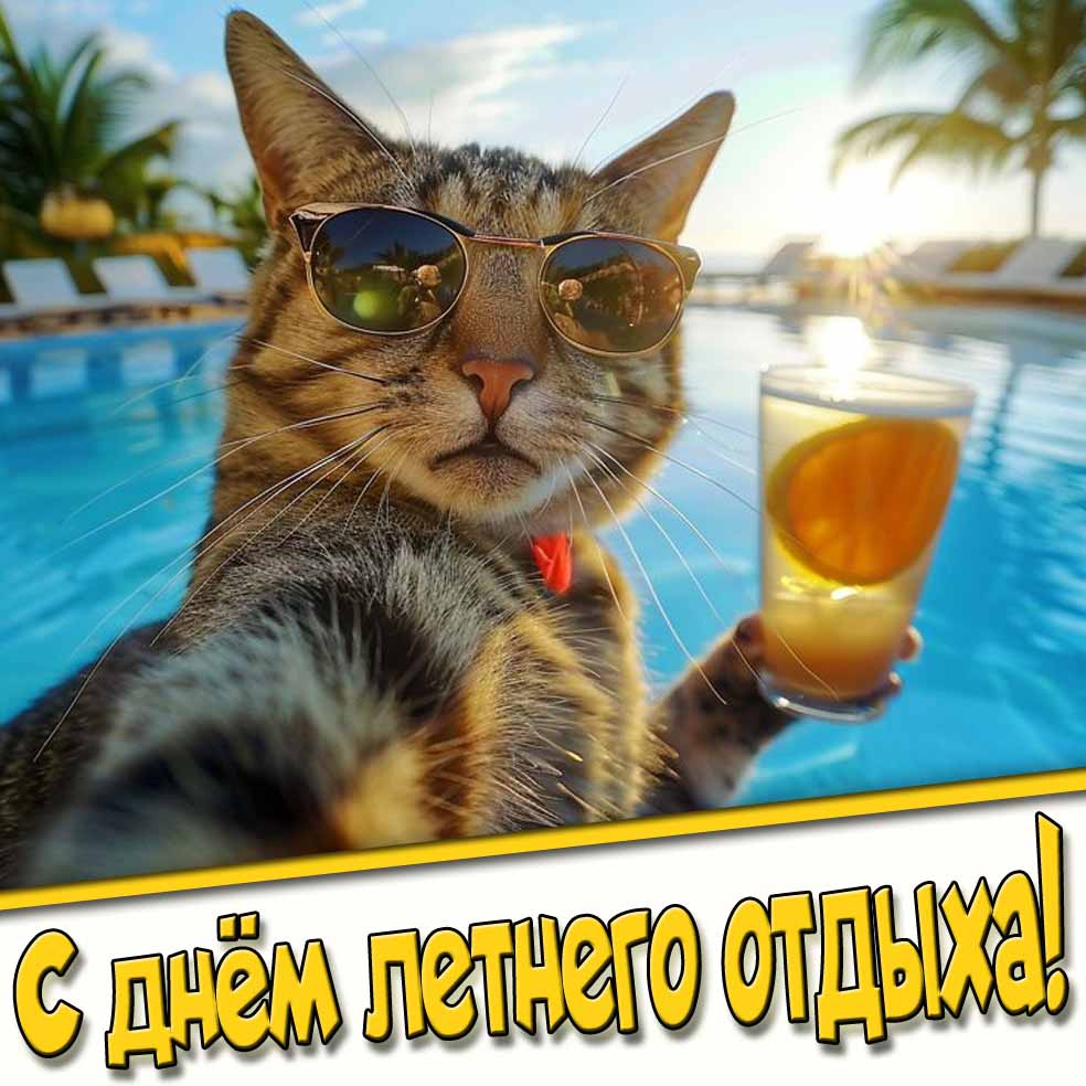 С днём летнего отдыха! - прикольная картинка с котом