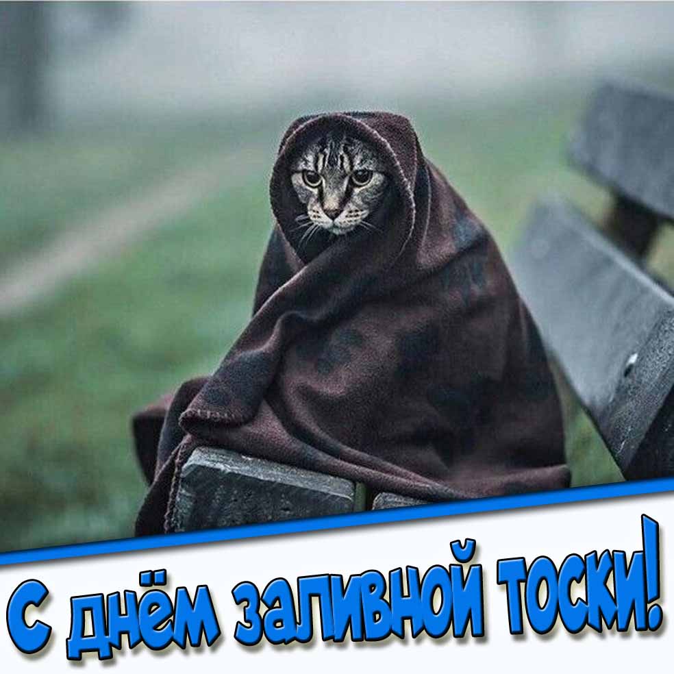 Открытка с днём заливной тоски