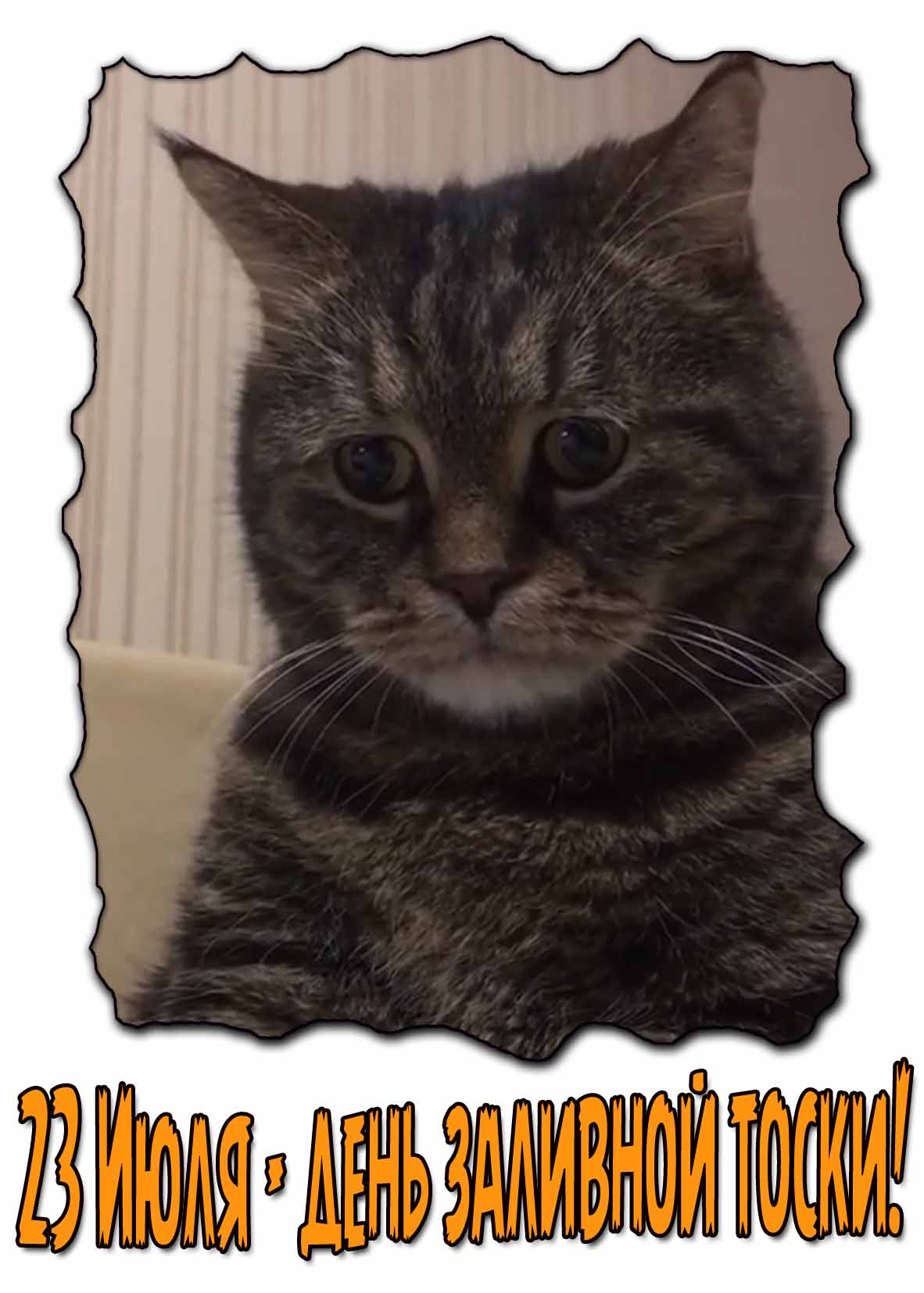 Картинка 23 Июля день заливной тоски