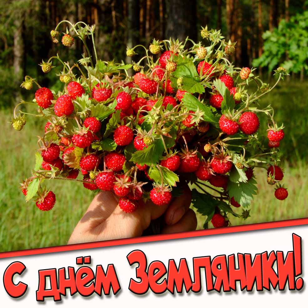 Прикольная открытка с днём земляники
