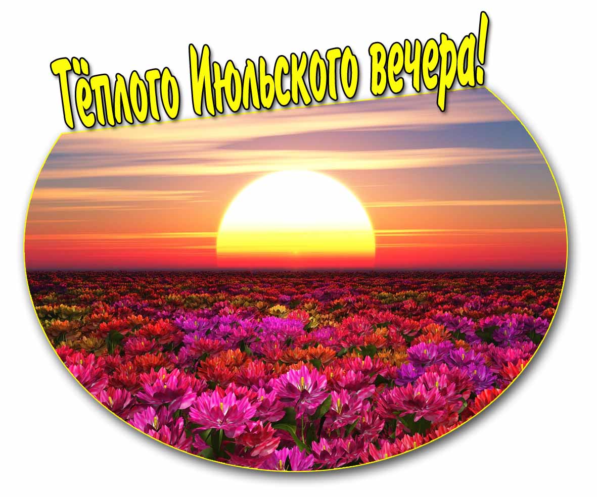 Тёплого Июльского вечера! - открытка с цветами