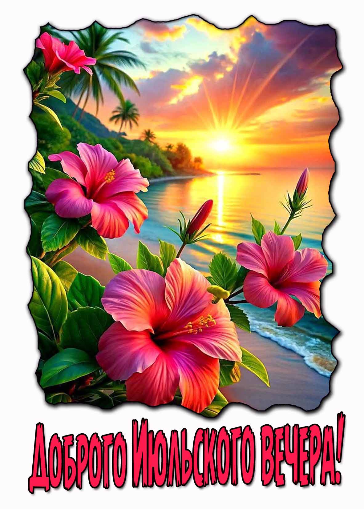 Доброго Июльского вечера! - красивая картинка с цветами