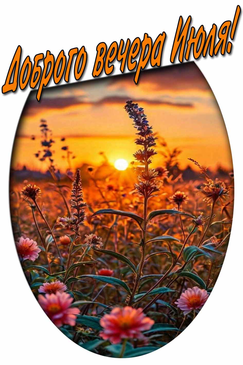 Доброго вечера Июля! - картинка на закате